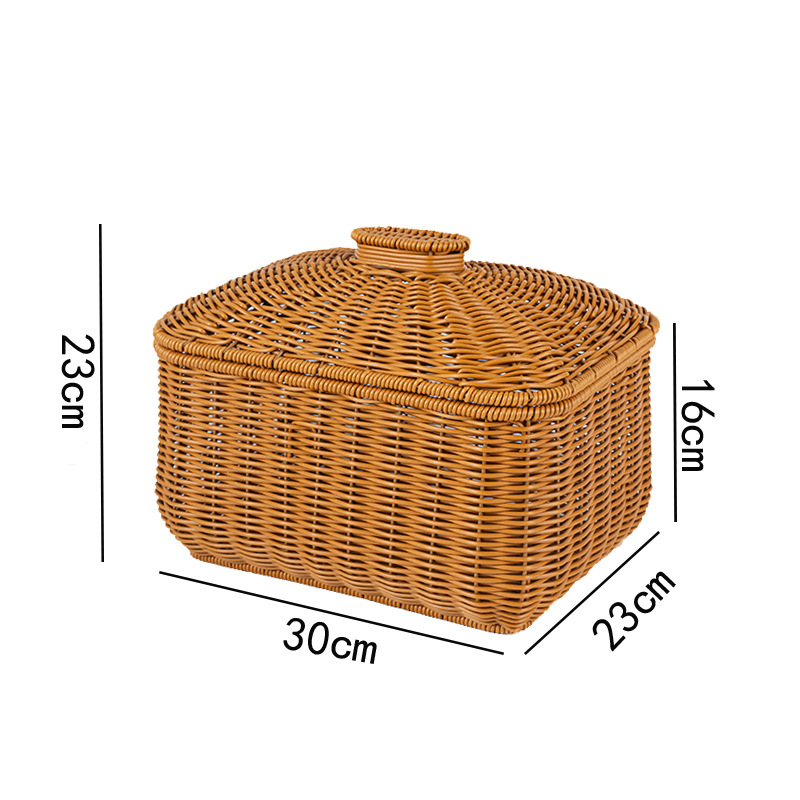 PTLZ39515_10.jpg